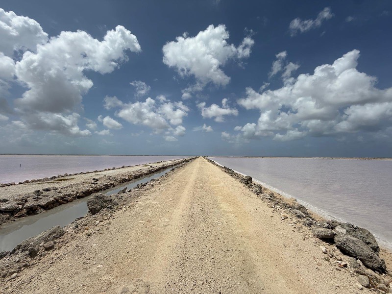 Un camino elevado discurre entre balsas de salmuera rosadas en la salina de Lusca Salt, en Gran Inagua.