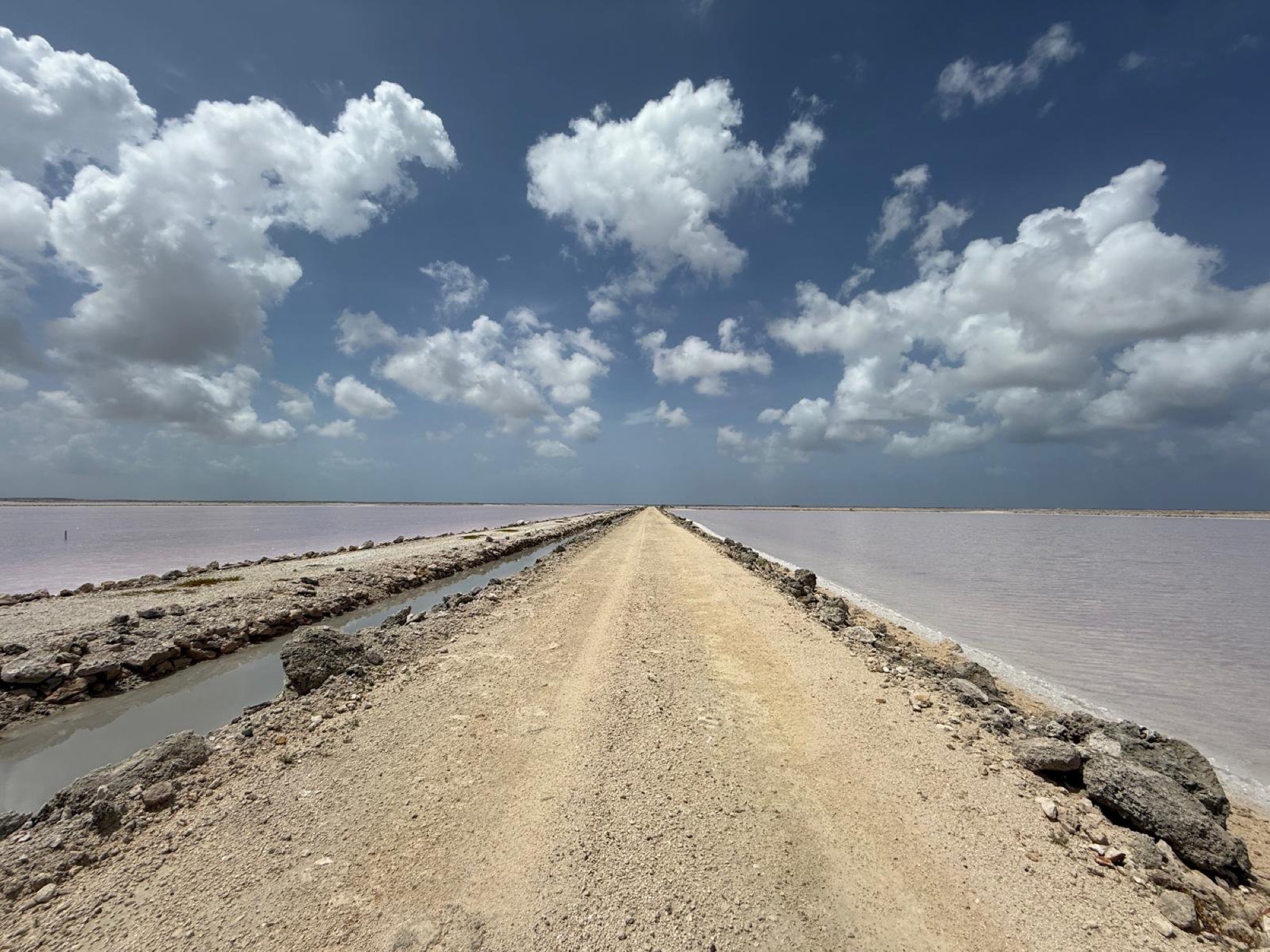 A causeway runs between pink brine ponds under a blue sky at the Lusca Salt works, Great Inagua.