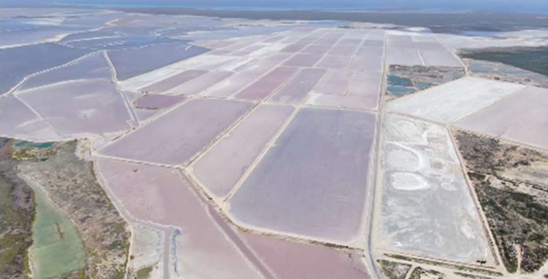 Aerial view of pink evaporation ponds and white crystalliser beds on Great Inagua.