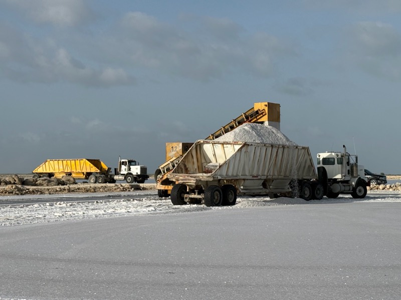 A harvester conveyor loads freshly harvested salt into a haul truck.