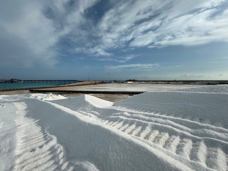 Tracks across the white salt stockpile at Great Inagua, with the loading pier on the horizon.