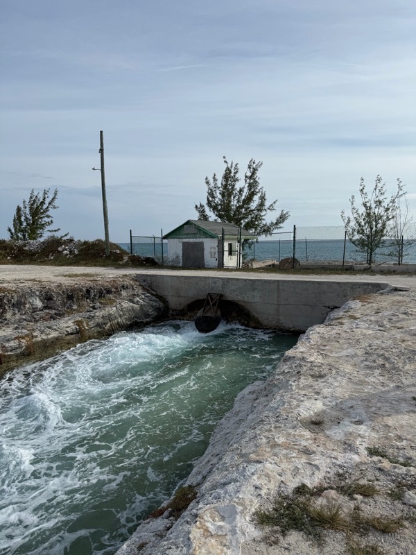 Seawater rushes from the intake pump station into the supply canal.